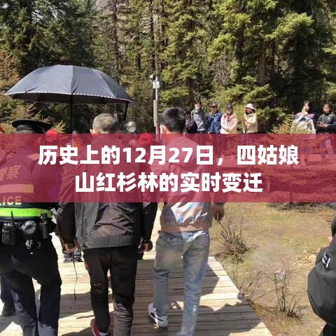 反正還淳 第4頁