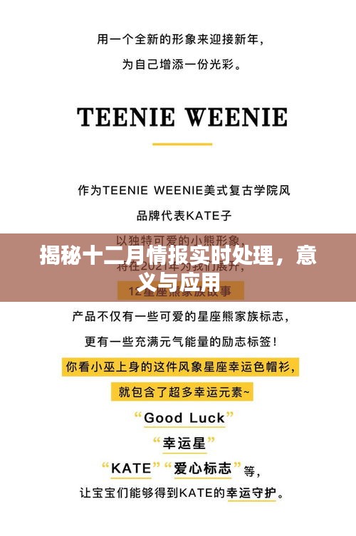 揭秘十二月情報實時處理應用及其重要性