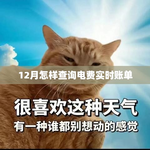 12月電費實時賬單查詢攻略