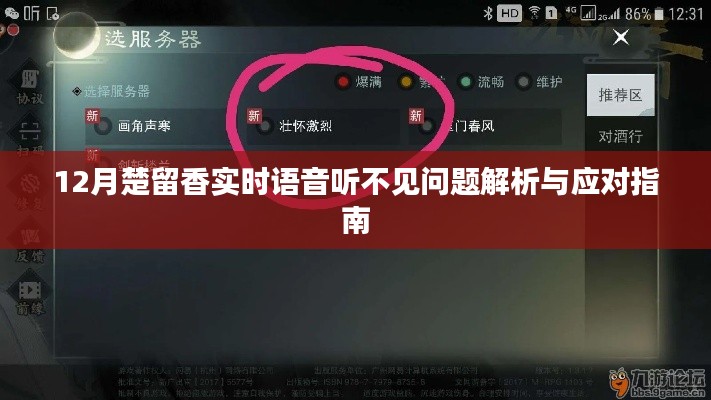 楚留香語(yǔ)音問(wèn)題解析與應(yīng)對(duì)指南,實(shí)時(shí)語(yǔ)音聽(tīng)不見(jiàn)怎么辦