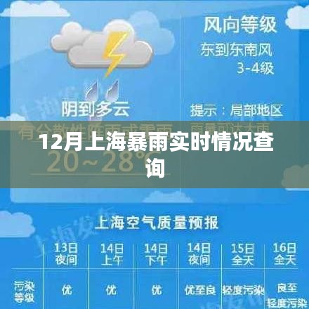上海暴雨實時更新，最新天氣動態查詢