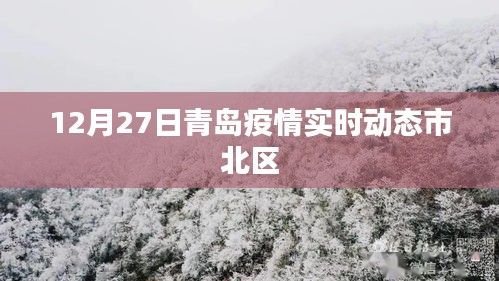 青島市北區疫情實時動態更新通知