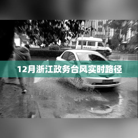 浙江政務臺風實時路徑播報