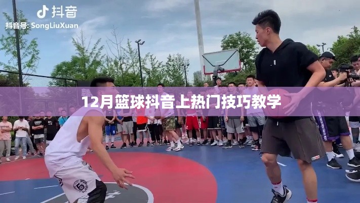 籃球抖音熱門技巧教學，12月實戰攻略