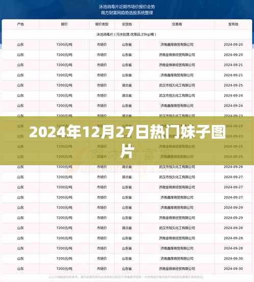 2024年12月27日精選美女圖片大放送