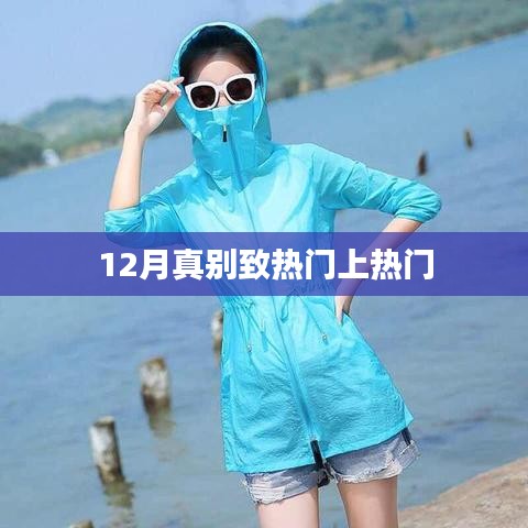 12月別致風情，熱門事件大揭秘