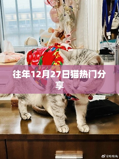 貓熱門分享回顧,歷年12月27日精彩瞬間