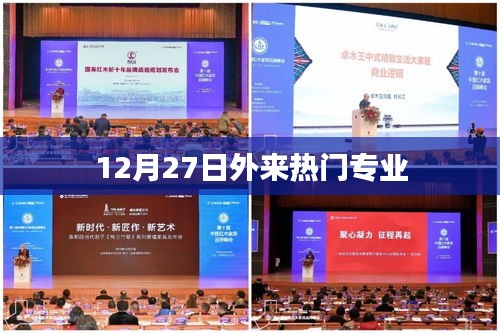 12月27日熱門外來專業概覽