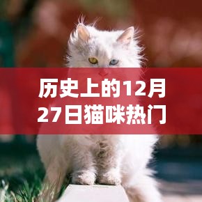 貓咪名字史上的熱門時(shí)刻,探尋貓咪名字變遷的歷程