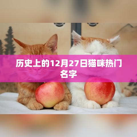 貓咪名字史上的熱門時(shí)刻,探尋貓咪名字變遷的歷程