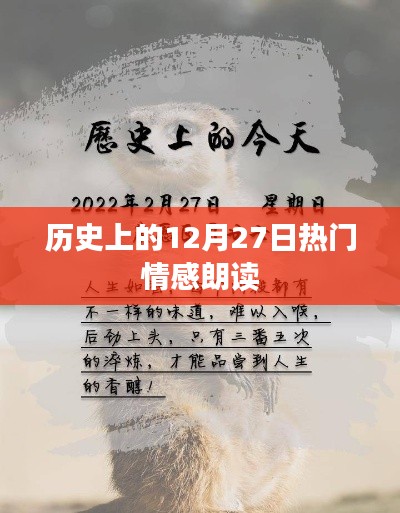 歷史上的情感朗讀盛宴,12月27日的情感之聲