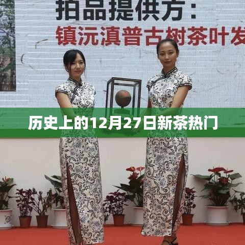 十二月二十七日新茶風云,歷史回顧與今日熱門