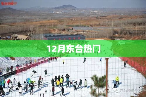 東臺(tái)十二月熱門事件全解析