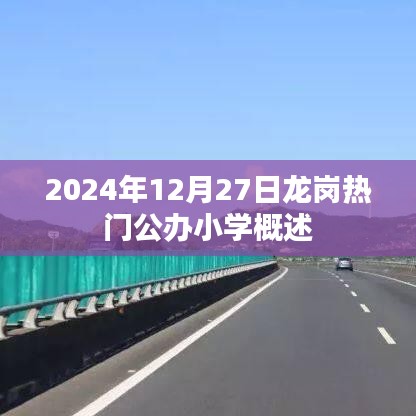 龍崗公辦小學概覽,2024年12月27日熱門小學介紹