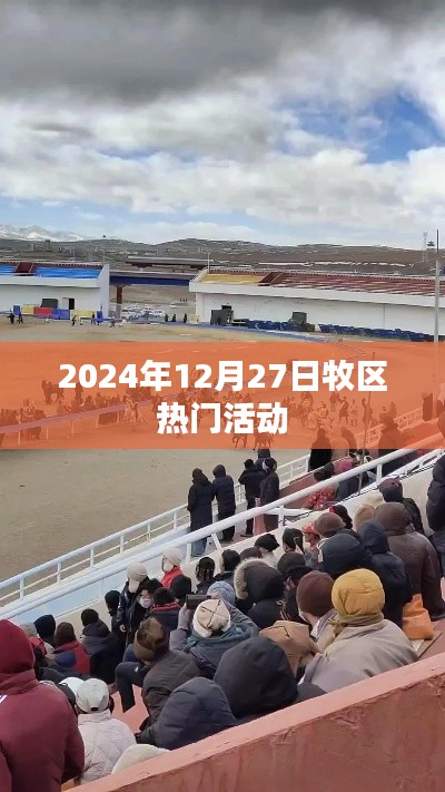 牧區(qū)熱門活動,探尋2024年12月27日盛事