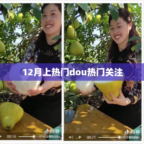 12月熱門事件,關注熱門Dou音動態