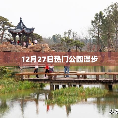 12月27日公園漫步，盡享自然之美