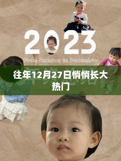 年終倒數時刻,揭秘十二月二十七日的熱門秘密