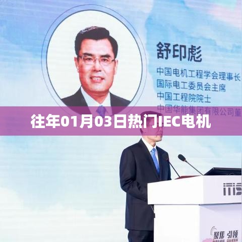 往年元旦后熱門IEC電機概覽