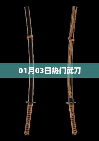 熱門武刀,最新動態與資訊聚焦 01月03日