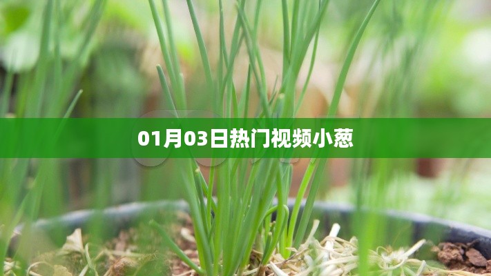 熱門視頻小蔥,最新流行趨勢一網打盡!