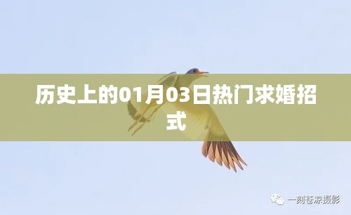 歷史上的求婚秘籍，一月三日求婚攻略