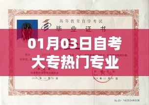 自考大專熱門專業解析(最新)
