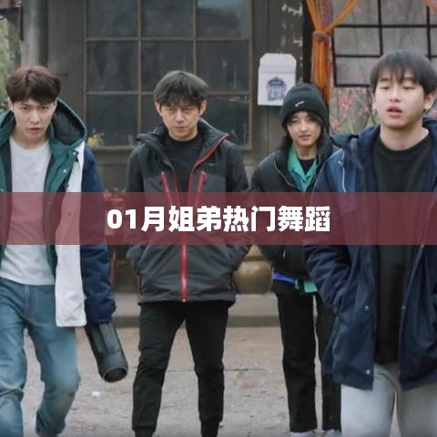 熱門舞蹈，一月姐弟熱舞盤點