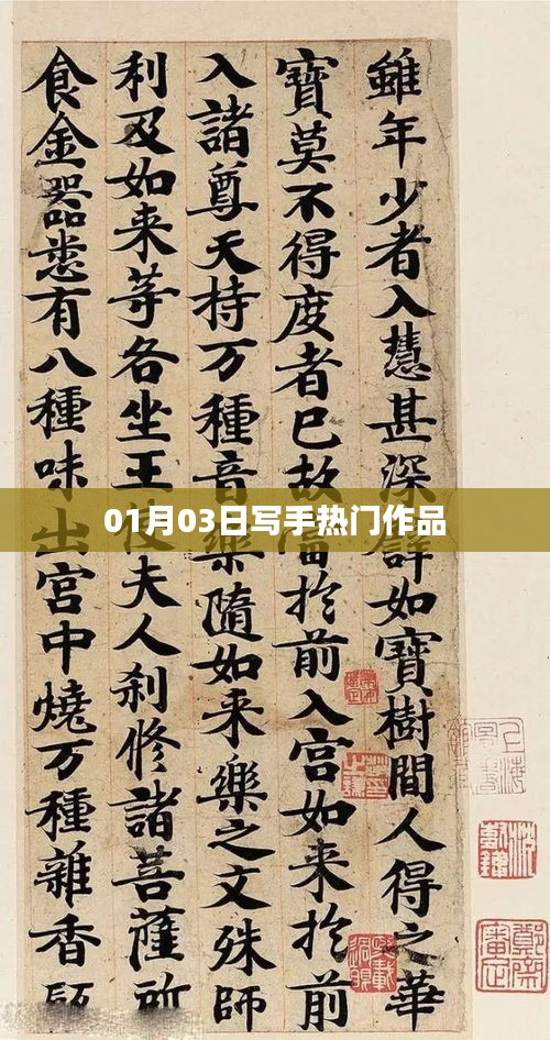 寫手熱門作品盤點,最新佳作速遞