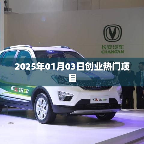 2025年創(chuàng)業(yè)熱門項目揭秘，把握未來商機
