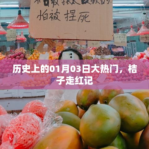 歷史大熱門,桔子走紅記,揭秘背后的故事