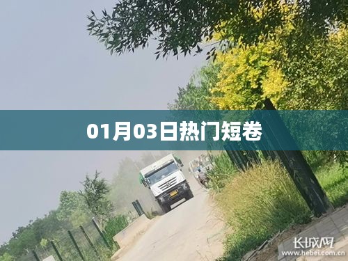 熱門短卷大揭秘,01月03日最新流行趨勢