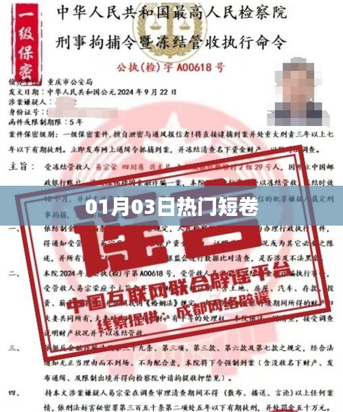 熱門短卷大揭秘，01月03日最新流行趨勢