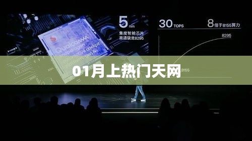 熱門天網揭秘01月大揭秘