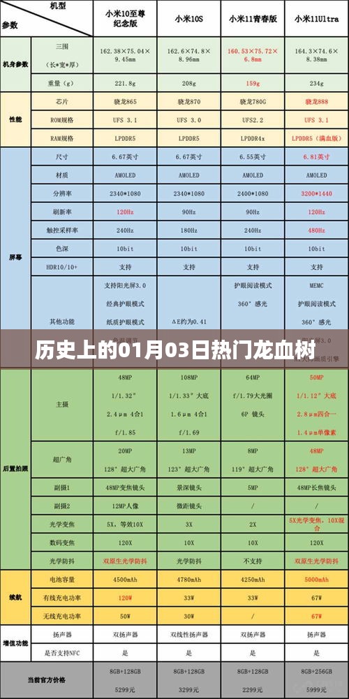 龍血樹的歷史變遷，一月三日的重要時刻回顧