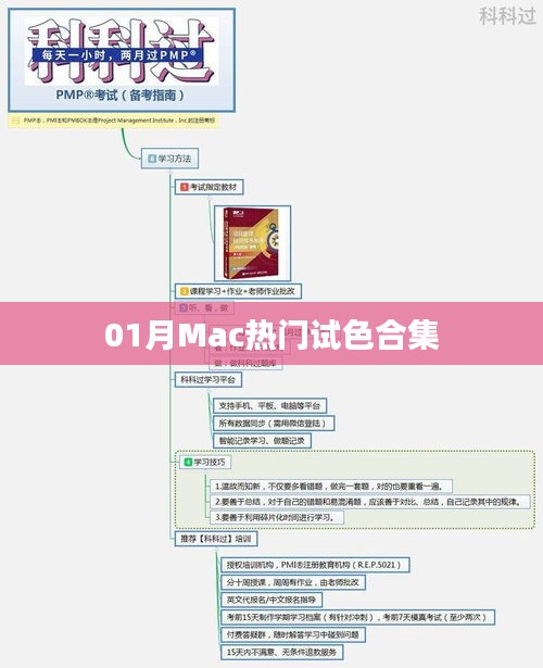 「獨家盤點」Mac熱門試色合集,一月精選不容錯過