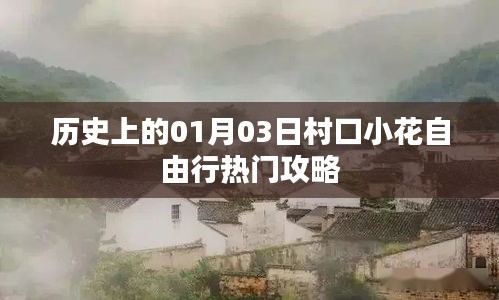 村口小花自由行，一月三日熱門攻略回顧