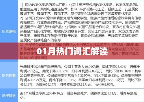 熱門詞匯解讀,一月新趨勢解讀