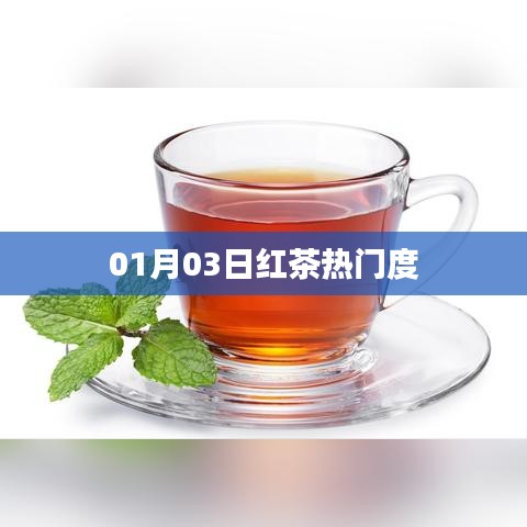 紅茶熱門度揭秘,最新趨勢分析(日期,01月03日)