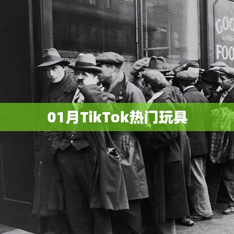 TikTok熱門玩具大盤點（一月精選）