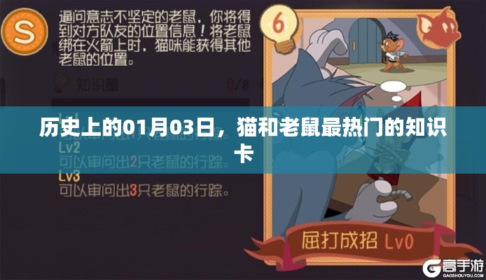 貓鼠知識卡，歷史上的熱門時刻，探尋秘密背后的故事
