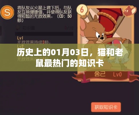 貓鼠知識卡,歷史上的熱門時刻,探尋秘密背后的故事