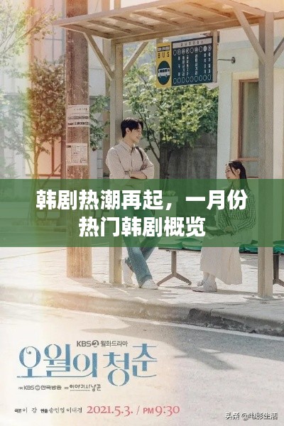 一月份韓劇熱潮回顧,熱門劇集概覽