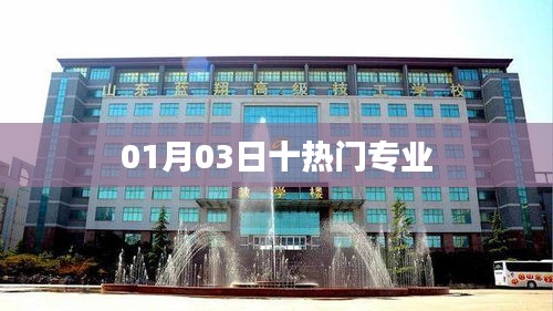 最新熱門專業榜單TOP10，01月03日更新