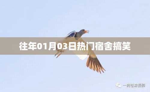 宿舍歡樂瞬間,歷年一月三日爆笑回顧