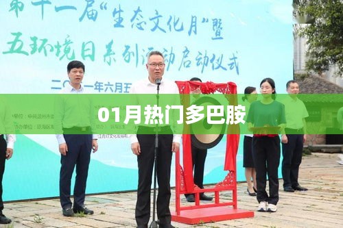 熱門多巴胺,揭秘一月新動向