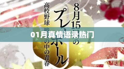 精選真情語錄,一月溫暖話語