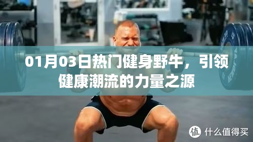 熱門健身野牛，引領(lǐng)健康潮流的力量之源