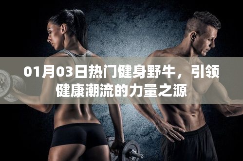 熱門健身野牛,引領健康潮流的力量之源