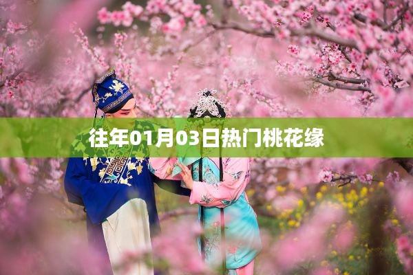 往年一月初桃花盛開，緣分盛開日